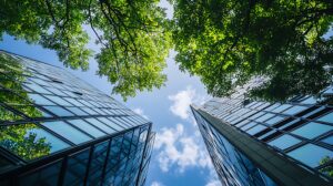 Summer Solar Strategy: Maximize ROI with Longer Days