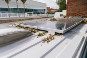 Non-Export Solar for Existing Systems: How to Add Batteries and Keep More Power at Home